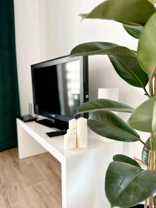 Dzielnica Parkowa #7 Apartment Rzeszow Ngoại thất bức ảnh